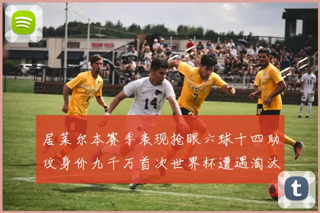 居莱尔本赛季表现抢眼六球十四助攻身价九千万首次世界杯遭遇淘汰
